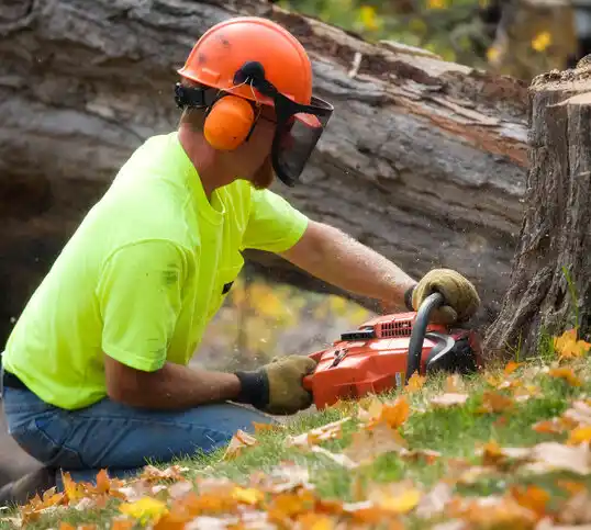 tree services Cordova